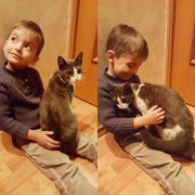 Котик ищет дом и семью. 